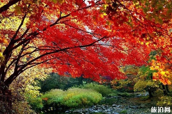 關(guān)門山門票多少錢一張 關(guān)門山秋色怎么樣