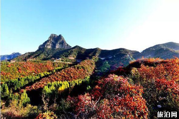 洛陽賞秋景區(qū)優(yōu)惠信息匯總 荊紫仙山+黛眉山+青要山