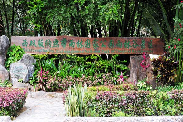 西雙版納東線植物園有著怎樣的景點旅游地