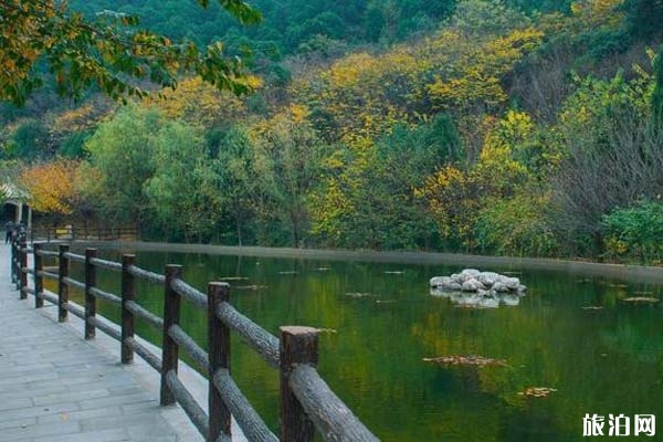驪山國家森林公園景區