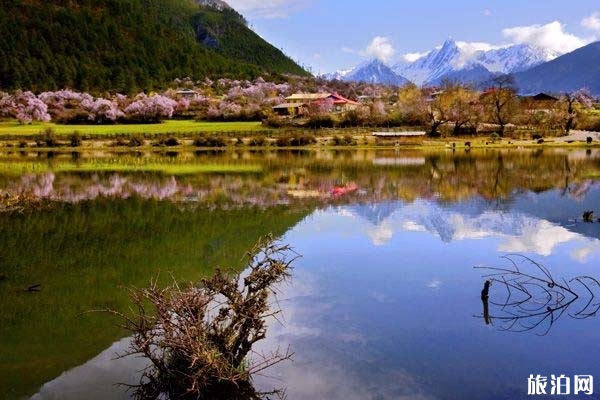 嘎朗湖景區