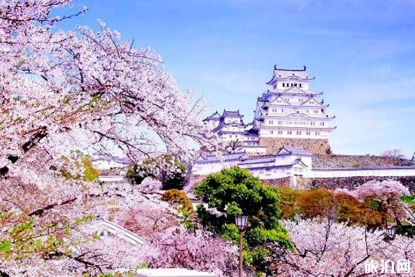 2020日本櫻花季節是幾月份