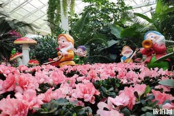 石家莊植物園郁金香花期 什么時候開
