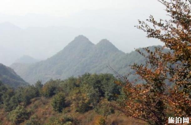 蝎子溝國家森林公園
