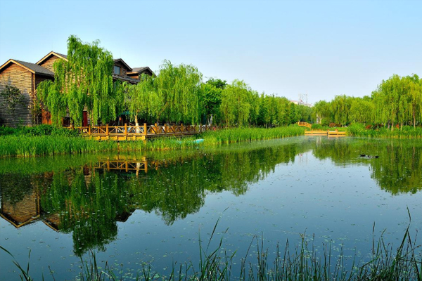 濟南森林公園