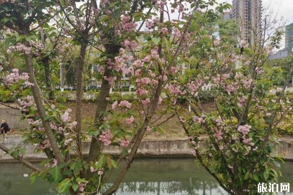 綿陽三臺縣龍潭溪旅游攻略