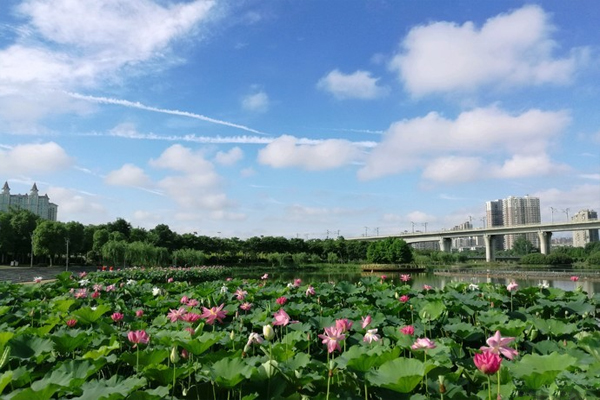 槐蔭公園