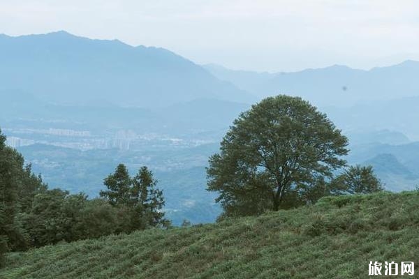 蒙頂山旅游景點(diǎn)攻略