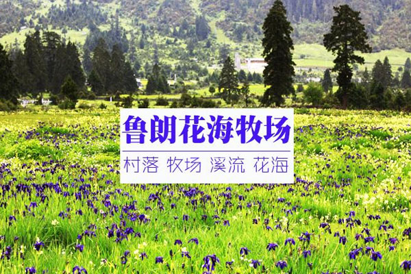 魯朗花海牧場