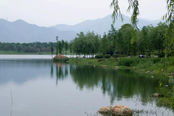 飛來湖濕地公園