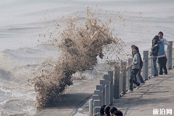 嘉興海寧老鹽倉(cāng)觀潮位置在什么地方 杭州怎么去老鹽倉(cāng)觀潮