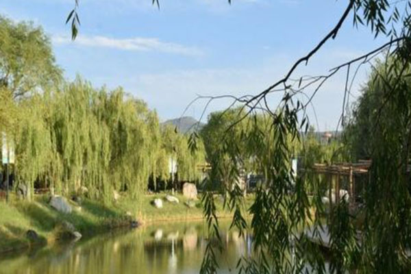 景熙豐濕地生態景區