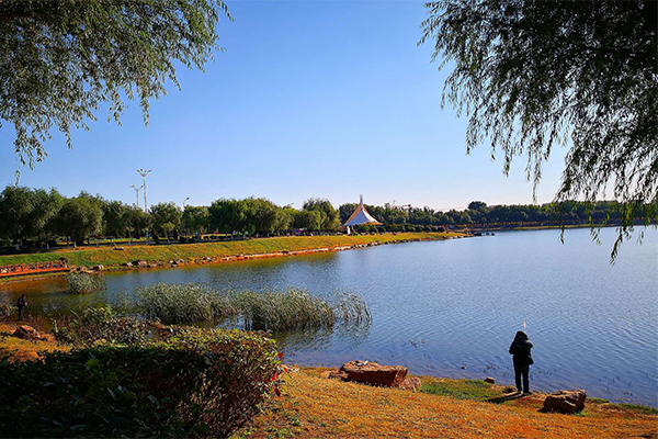 沈陽丁香湖公園