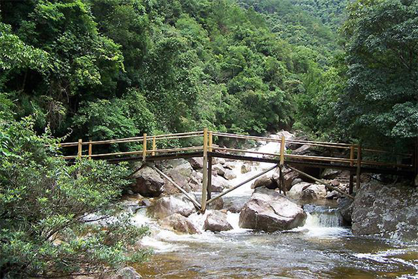 十萬大山國家森林公園