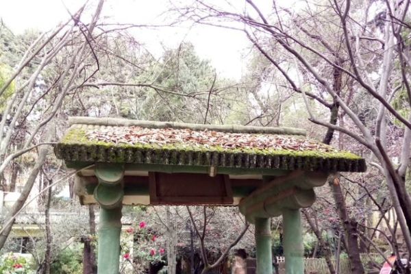 曇華寺