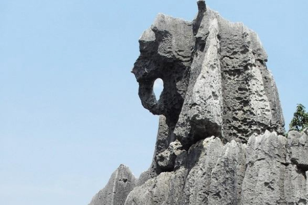 李子箐石林