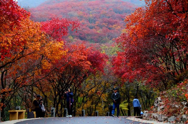 濟南紅葉谷好玩么 濟南紅葉谷值得去嗎