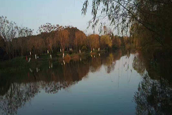 凌河公園