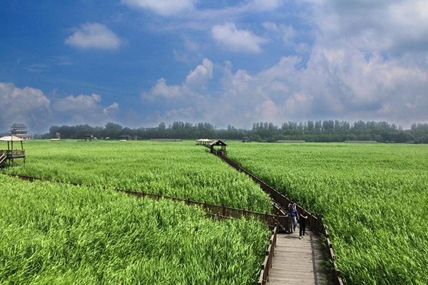 鼎翔旅游度假區
