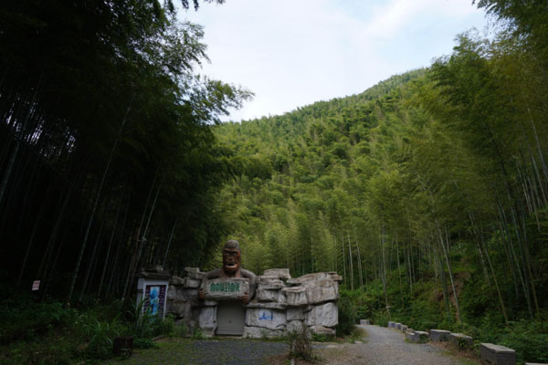 木坑竹海景區