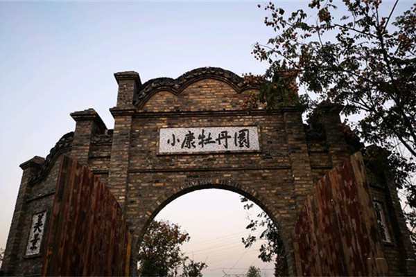 小康牡丹園