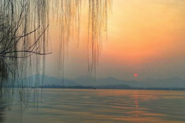 柳浪聞鶯