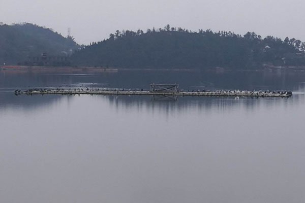 隆昌古湖景區