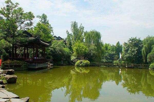 峨眉山竹葉青生態(tài)茗園