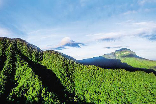 黎母山國家森林公園