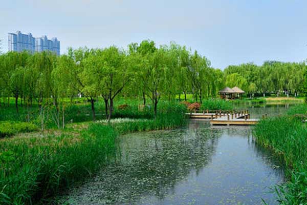 濟南公園年票2021價格 濟南公園年票使用范圍