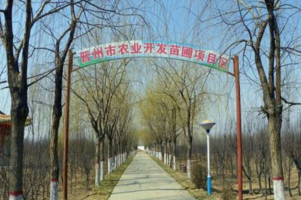 周家莊農(nóng)業(yè)特色觀光園