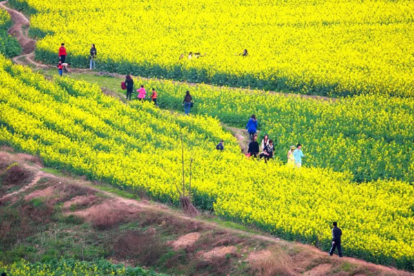 德陽春季賞花去哪-賞花地點(diǎn)推薦