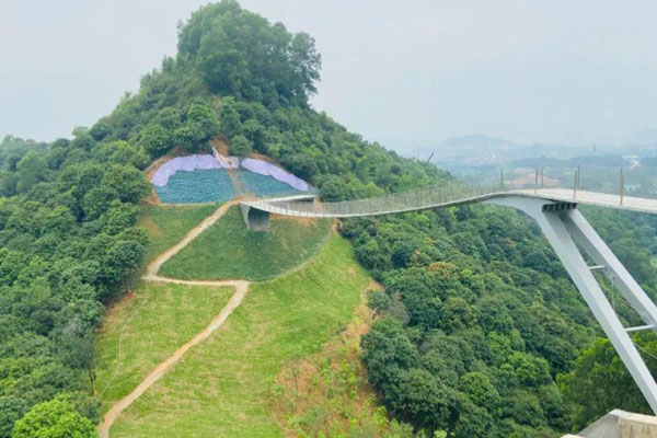深圳光明大頂嶺綠道游玩攻略 浮橋需要預(yù)約嗎