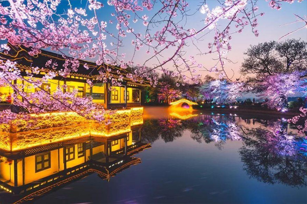2021無錫黿頭渚櫻花節什么時候開始 活動有哪些