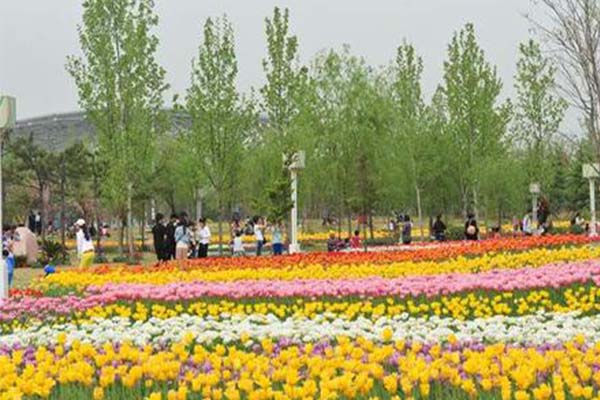 2021鄭州綠博園問花節活動-賞花指南