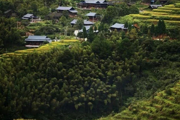 羅溪國家森林公園