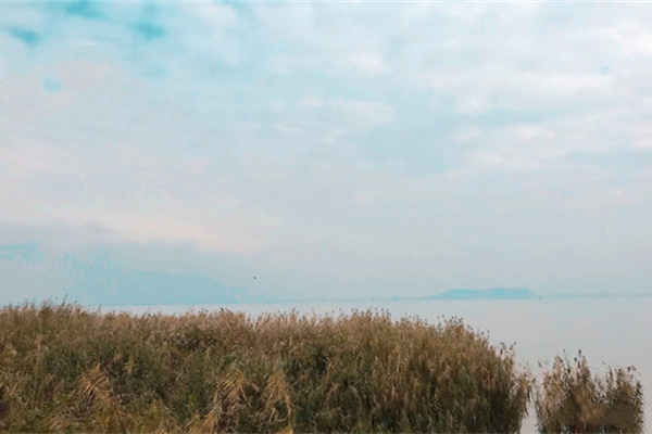 貢湖灣濕地公園
