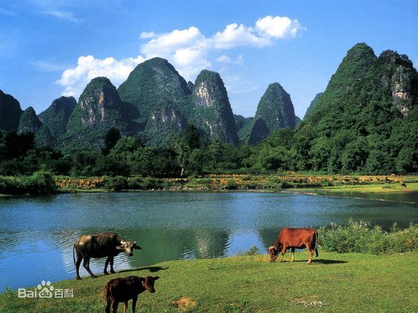 桂林市荔江灣景區在哪里