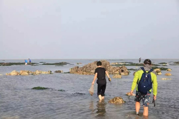2021大連趕海去哪里比較好
