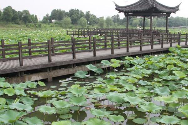 2021紹興賞荷花地點(diǎn)推薦