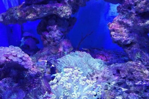 石家莊海洋公園