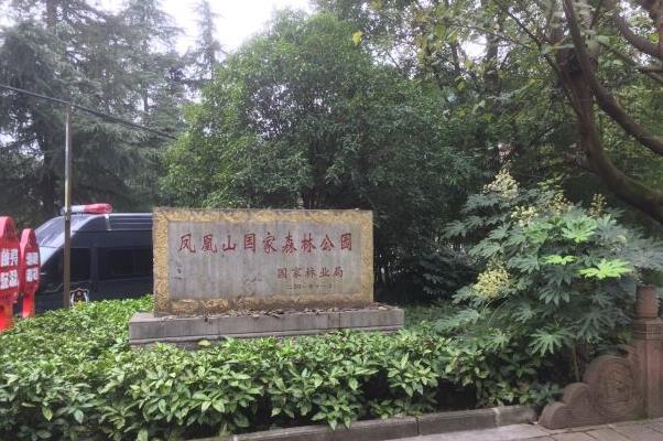 遵義鳳凰山國家森林公園