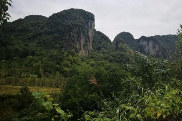 貴州甲茶風景名勝區