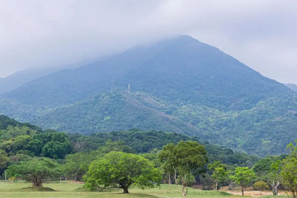 深圳免費(fèi)公園哪里好玩