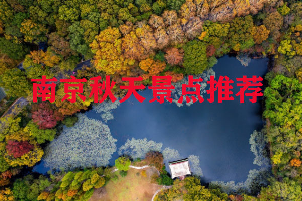 南京秋天景點推薦