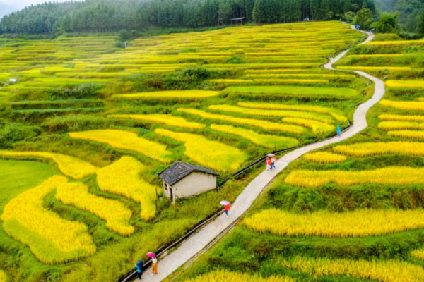 國慶深圳周邊游玩好去處