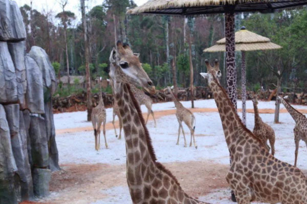 9月26日蘭州野生動(dòng)物園開園-門票價(jià)格-地址及交通