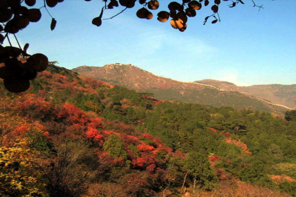 西嶺國(guó)家森林公園