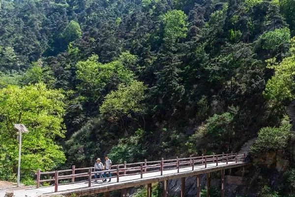 藥鄉國家森林公園