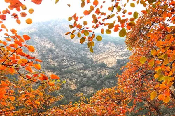 2021咸陽鄭國渠紅葉節游玩攻略